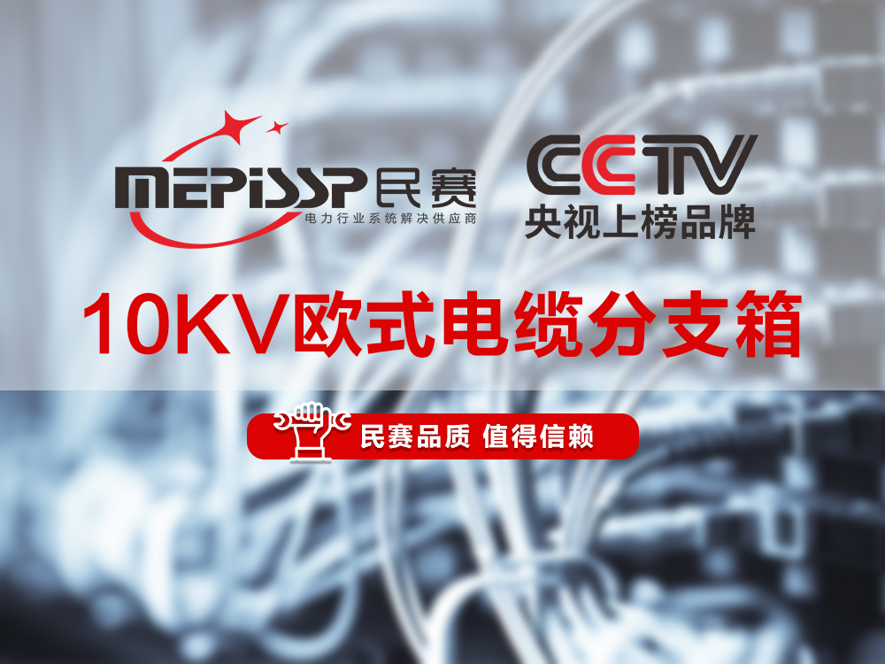 sunbet电气-10KV欧式电缆分支箱讲解